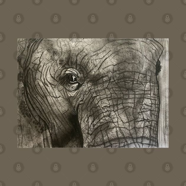 Elephant Sketch by Wolf Cove Creations