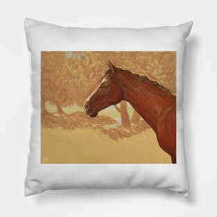 The Arabian Pillow