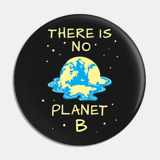 No planet B Pin