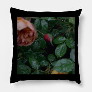 rain garden Pillow