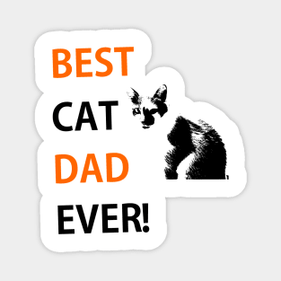 Best Cat Dad Ever Shirt, Cat Dad, Fathers Shirt, Personalized gift For Dad or Papa, for Father's Day Magnet