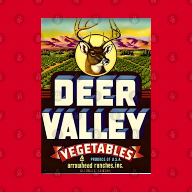 Deer Valley Vegetables - Glendale Arizona by Desert Owl Designs