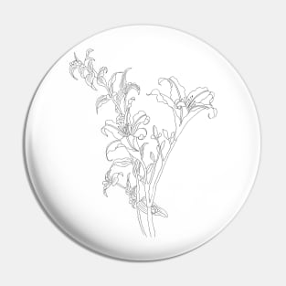 daylily drawing black and white Pin