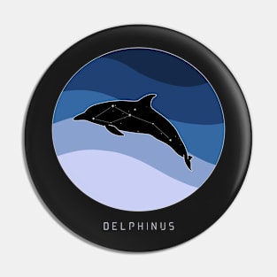 Delphinus Constellation Pin