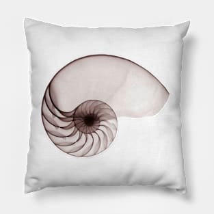 Porcelain Seashell Pillow