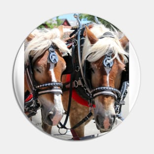 Working Horses at Solvang California Pin