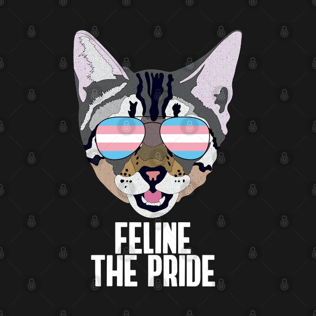 FELINE THE PRIDE - Cute Cat Sunglasses Trans Pride Flag by NightField