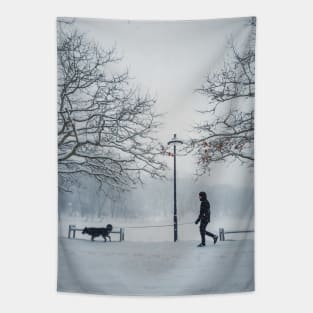 Man walking his dog Tapestry