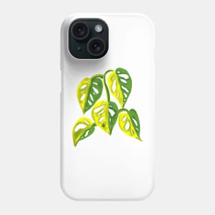 Monstera Adansoni Yellow Variegated Phone Case