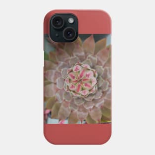 Sempervivum Bird Eye Arial View Phone Case