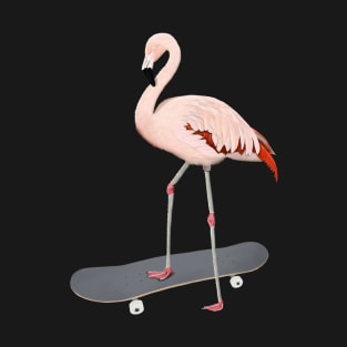 Flamingo Bird Skateboard Birdwatcher Animal Biologist T-Shirt