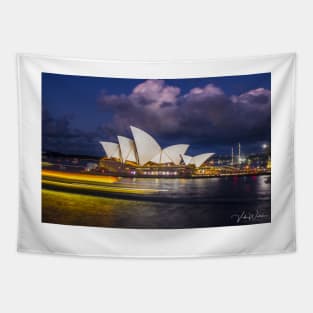 The Sydney Opera House, Sydney, NSW, Australia. Tapestry