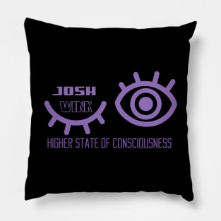 Josh Wink Higher State of Consciousness Pillow