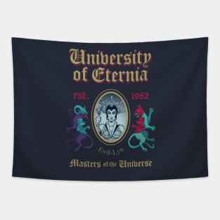 MSc in Universe Model 3 Tapestry