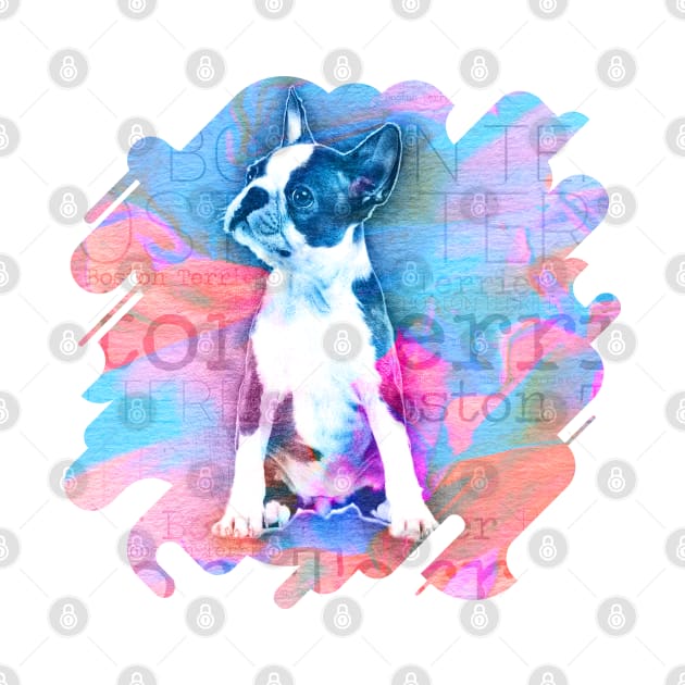 Boston Terrier Watercolor Digital Art by Nartissima