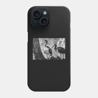 American white ibis in Gatorland black and white Phone Case