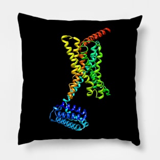 GPCR Pillow