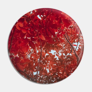 Under The Red Tree Pin