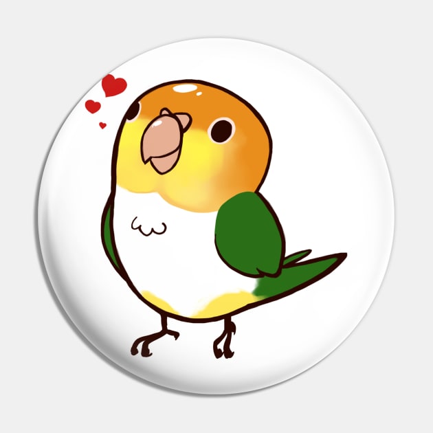 Caique 2 Pin by Shemii