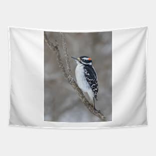 Hairy Woodpecker Tapestry