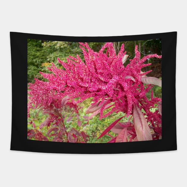 Fuschia Tapestry by Jujucreation