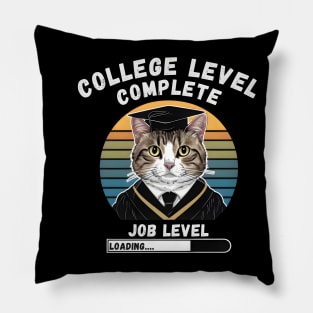 Funny Graduation 2024 Pillow