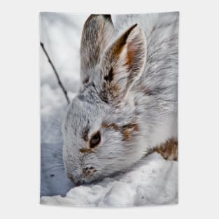 Snow Shoe Hare Tapestry