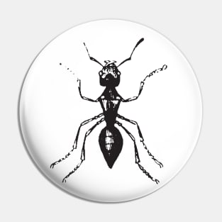 Ant Pin