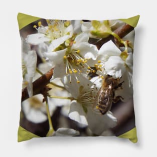 Honey Bee in Plum Tree Blossom Pillow