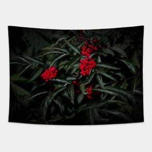 Berries Tapestry