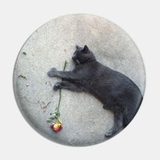 A Cat by Any Other Name Would Be as Sweet Pin