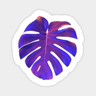 Blue monstera leaf Magnet