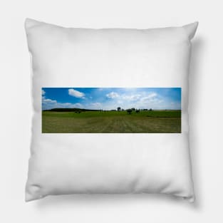 The field and the pollarded willows Pillow