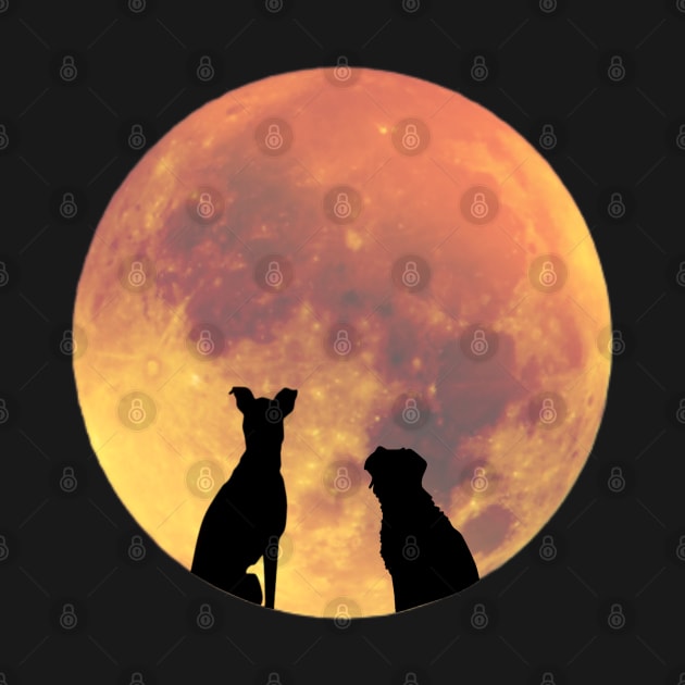 Apathecary's Moon Dogs by Apathecary