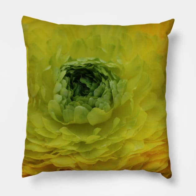 Close Up Pillow by OVP Art&Design