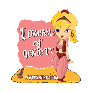 I Dream of Genie TV T-Shirt