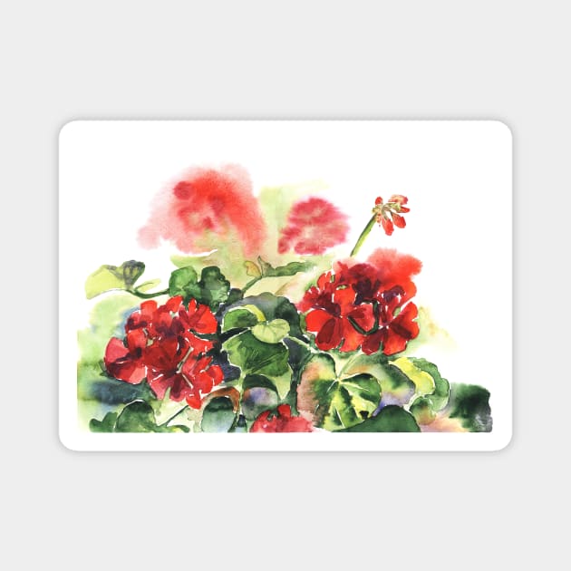 Plant geranium, flowers and leaves, watercolor Magnet by Olga Berlet