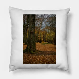 Autumn woodland walk Pillow