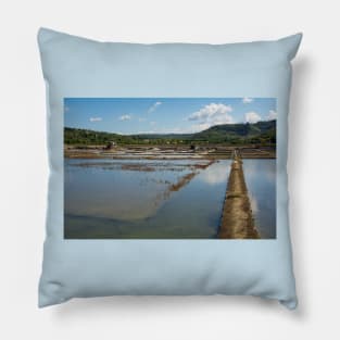 Strunjan Salt Flats, Slovenia Pillow