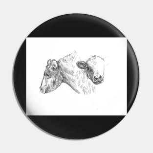 Cows sketch Pin