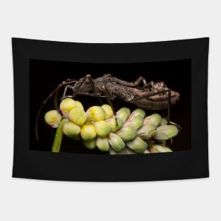 Unique and organic photo of a husk resting on flower Tapestry