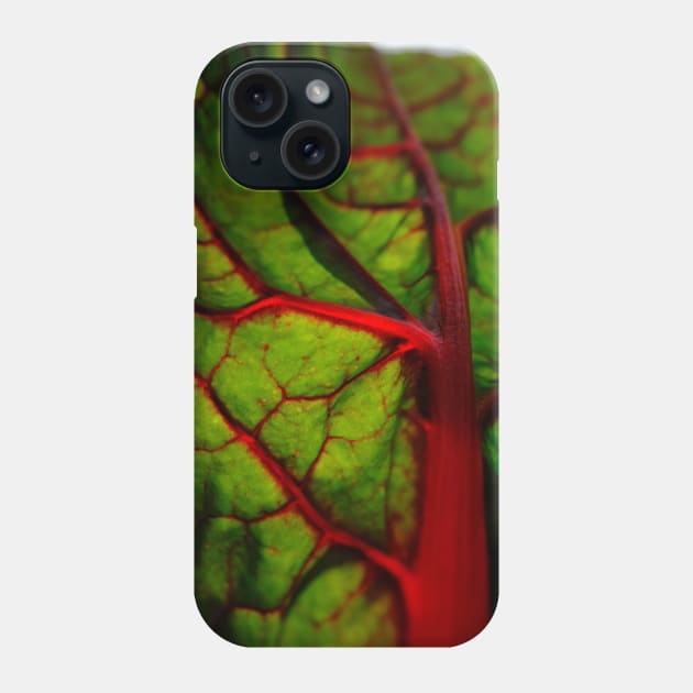 Radiant Swiss Chard Leaf Phone Case by Davey's Designs