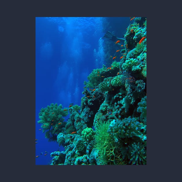 Red Sea Coral Reef by likbatonboot