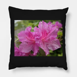 Pair of Pink Flowers Photographic Image Pillow