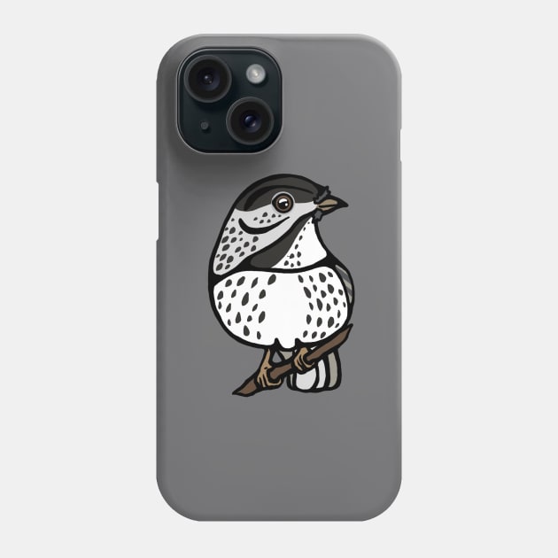 Blackpoll Warbler Graphic Phone Case by New World Aster 