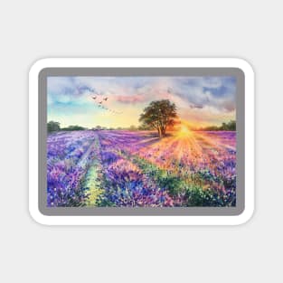 Lavender fields. Magnet