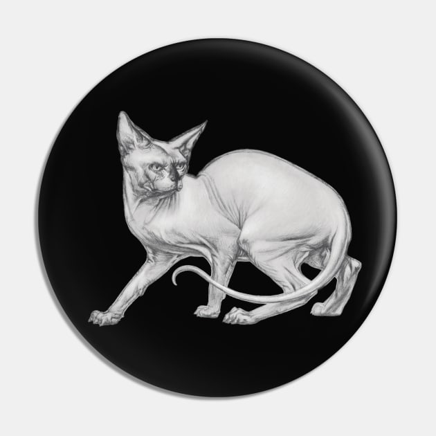 Realistic Sphinx Cat Graphite Drawing - Black and White Art Pin by Vlad