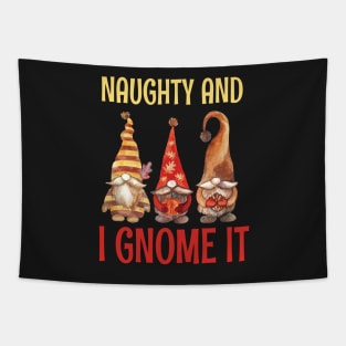 Naughty And I Gnome It / Funny Pajama Christmas Gnomes / Christmas Three Buffalo Plaid Gnomes Tapestry