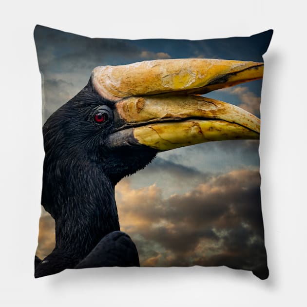 Rhinoceros Hornbill Pillow by Adrian Evans Photography