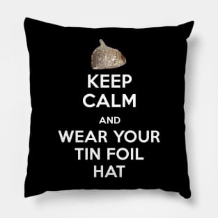 Keep Calm and Wear Your Tin Foil Hat Graphic Pillow